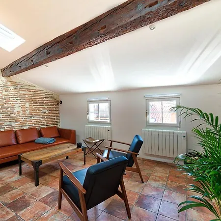 Les Toits De Filatiers Hyper Centre Apartamento Toulouse